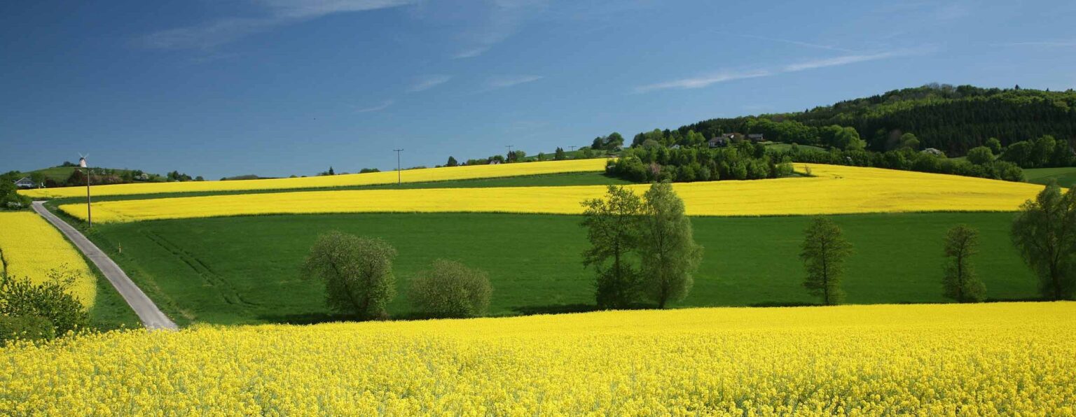 Alles über Pflanzenöl als Kraftstoff Umrüstung von Diesel, CO₂-Kreislauf, Tankstellen-Verzeichnis und Tipps zur nachhaltigen Mobilität. Jetzt informieren!